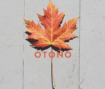 Consejos ayurvédicos para Otoño