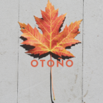 Consejos ayurvédicos para Otoño
